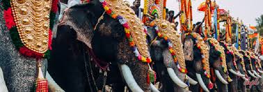 Elephant Festival of Rajasthan